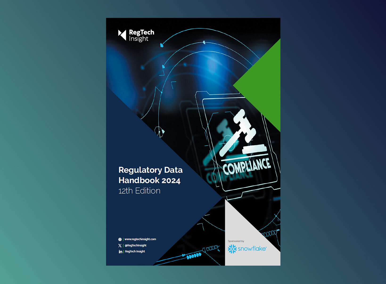 Regulatory Data Handbook 2024